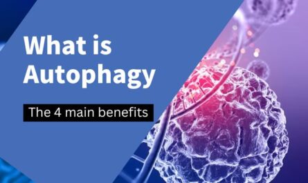 What is autophagy