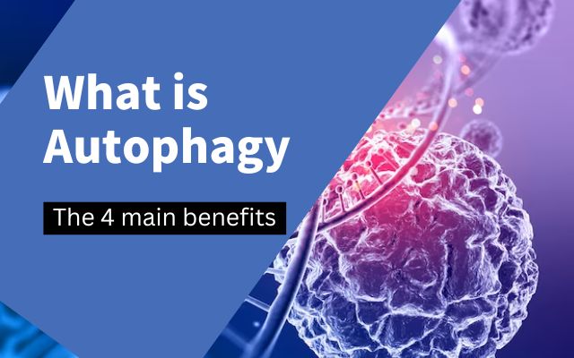 What is autophagy? Can autophagy really prevent cancer?