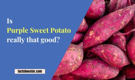 purple sweet potato