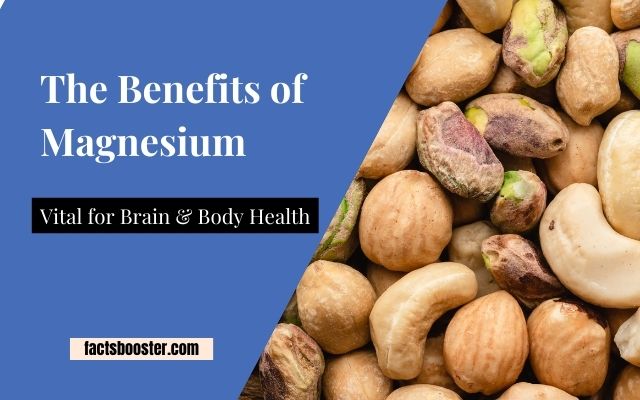 The Benefits of Magnesium: Vital for Brain & Body Health