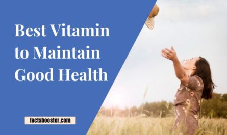 Best Vitamin to Maintain Good Health