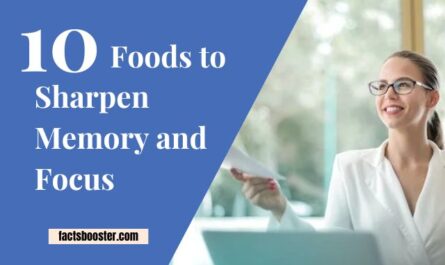 Foods to Sharpen Memory and Focus