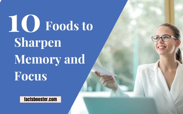 Top Foods to Sharpen Memory and Focus