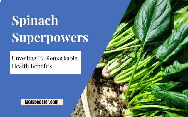 Spinach Superpowers: Unveiling Its Remarkable Health Benefits