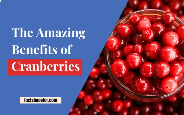 The Benefits of Cranberries | Take Cranberries In This Way
