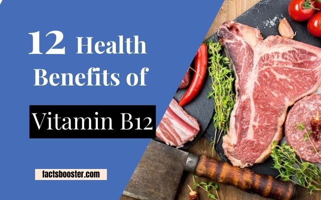 The Health Benefits of Vitamin B12, That You Will Never Know
