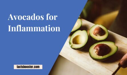 Avocados for Inflammation