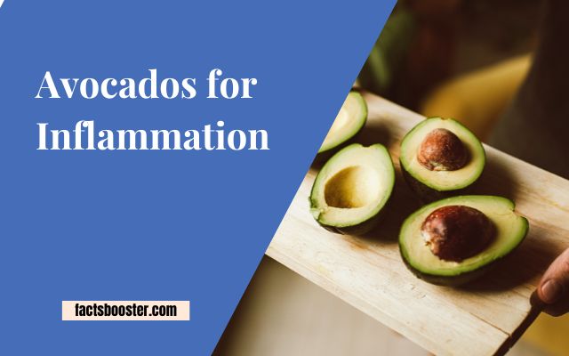 Avocados for Inflammation – Why Avocados?