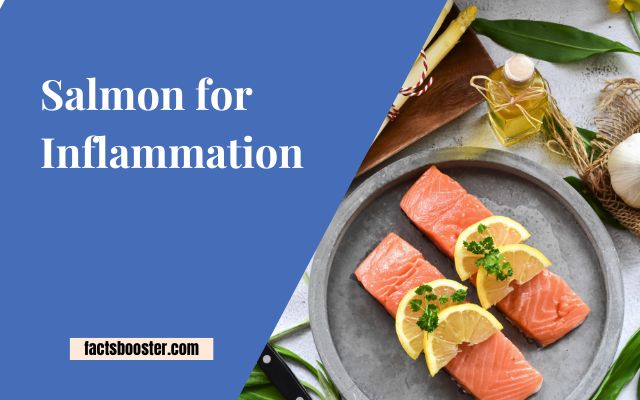 Salmon for Inflammation – Food That Against Inflammation