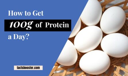 How to Get 100g of Protein a Day