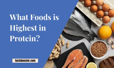 What Foods Is Highest in Protein