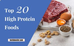 What Are the Top 20 Protein Foods? - Healthful Choices, Happy Lives