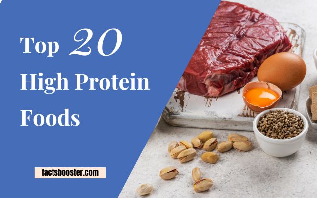 What Are the Top 20 Protein Foods