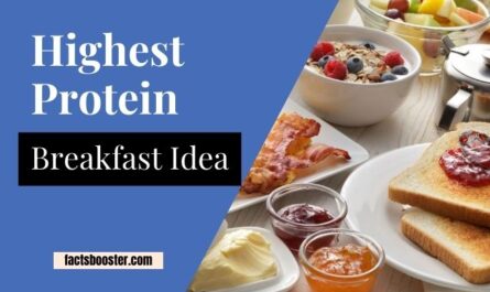 Highest Protein Breakfast Idea