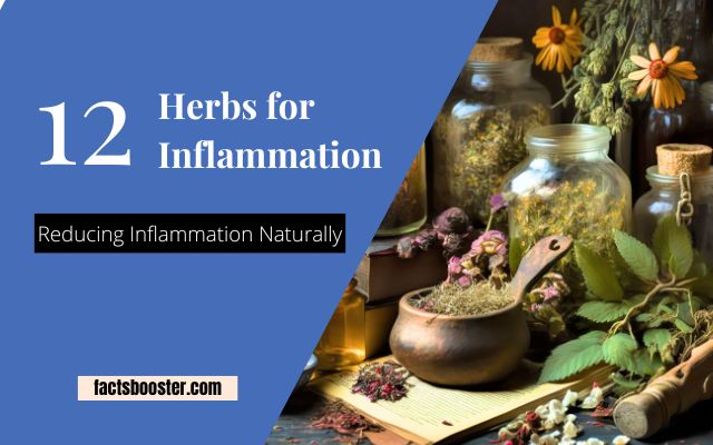 12 Herbs for Inflammation | Reducing Inflammation Naturally