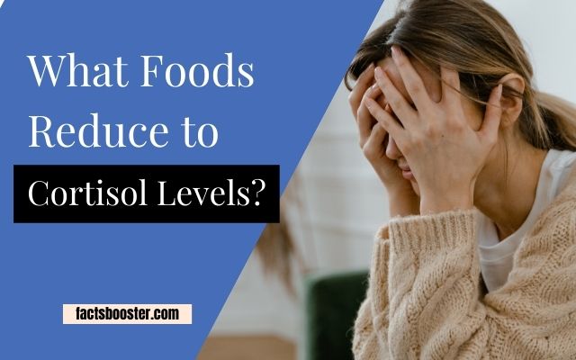Cortisol Reduction Diet – What Foods Reduce Cortisol Levels?
