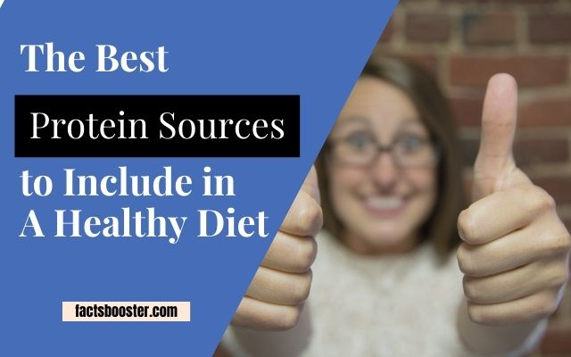 The Best Protein Sources to Include in A Healthy Diet
