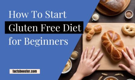 Gluten Free Diet for Beginners