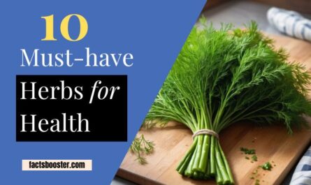Herbs for health