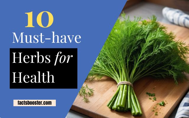 10 Must-have Herbs for Health