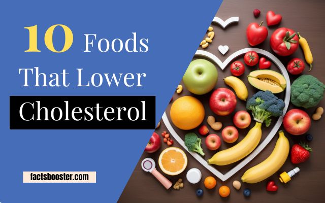10 Foods That Lower Cholesterol