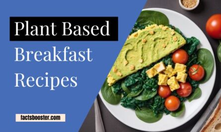 plant based breakfast