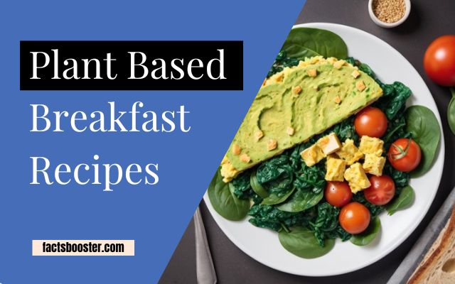 Plant Based Breakfast Recipes: Delicious and Nutritious For Vegan