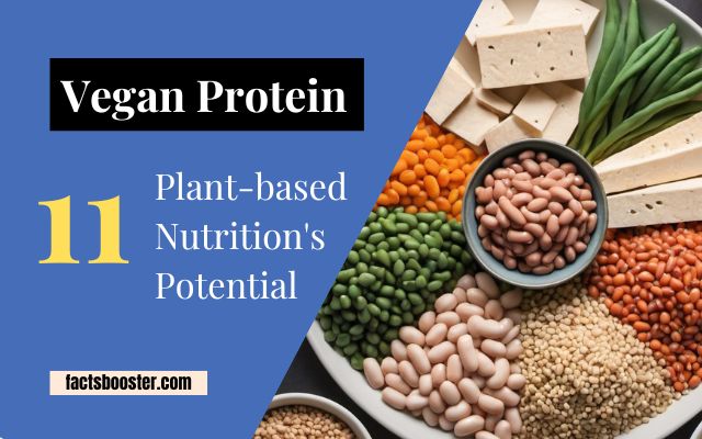 Vegan Protein: Exploring Plant-based Nutrition’s Potential