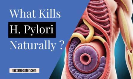 What Kills H. Pylori Naturally