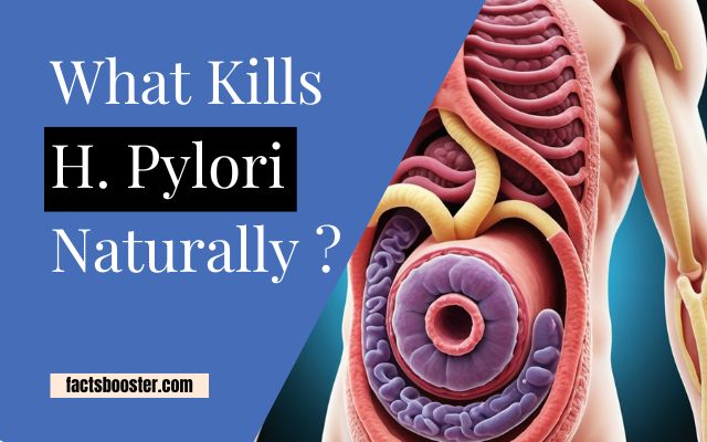 What Kills H. Pylori Naturally?