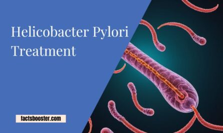 Helicobacter Pylori Treatment
