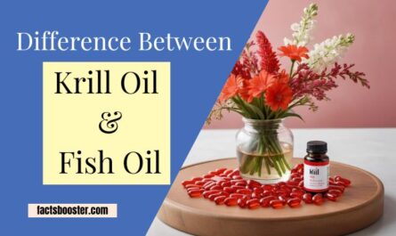 Difference Between Krill Oil And Fish Oil