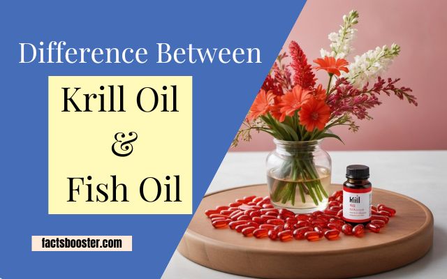 Difference Between Krill Oil and Fish Oil: Which One Is Better for You?