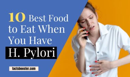 Best Food to Eat When You Have H. Pylori