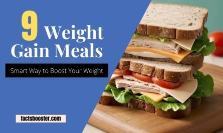 Weight Gain Meals