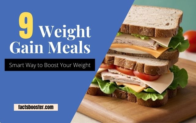 Weight Gain Meals: The Smart Way to Boost Your Weight