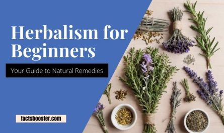 Herbalism For Beginners