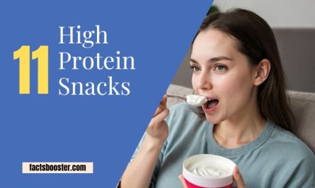 High Protein Snacks