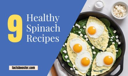 Healthy Spinach Recipes