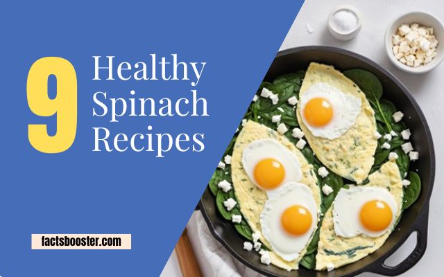 9 Healthy Spinach Recipes: Delicious and Nutritious