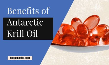 Antarctic Krill Oil Benefits