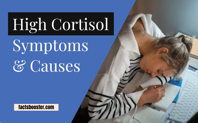 High Cortisol Symptoms: 14 Symptoms and The Causes