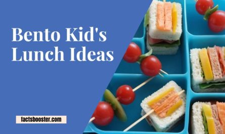 Bento Kid's Lunch Ideas