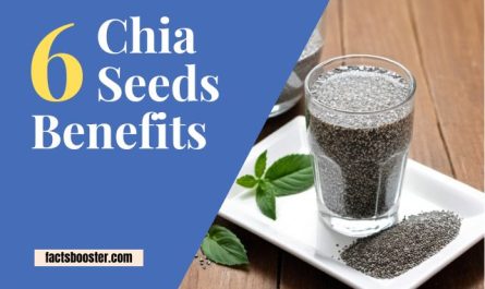 Chia Seeds Benefits