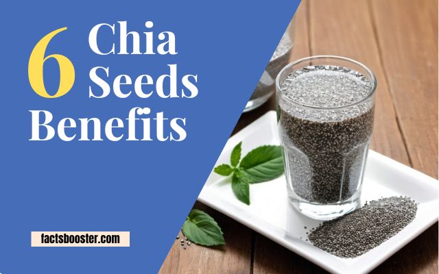 Chia Seeds Benefits: Why You Should Add Them to Your Diet