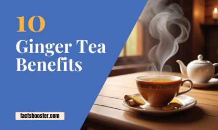 Ginger Tea Benefits