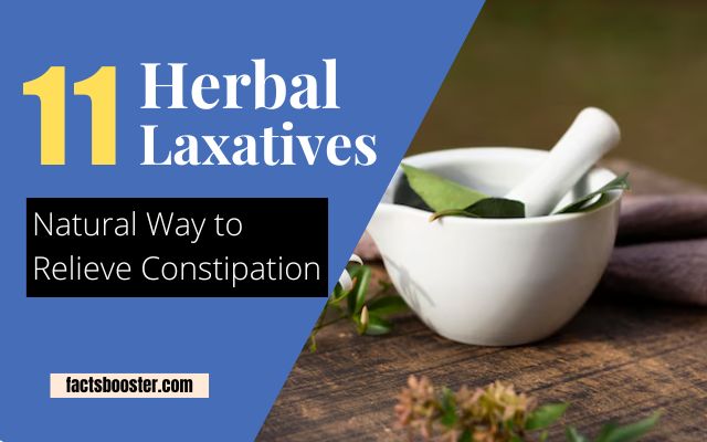 11 Herbal Laxatives: The Natural Way to Relieve Constipation