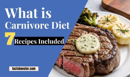 What is the Carnivore Diet?