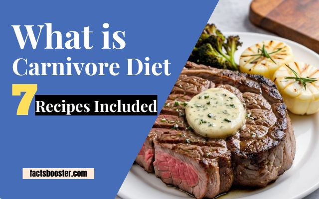 What is the Carnivore Diet?