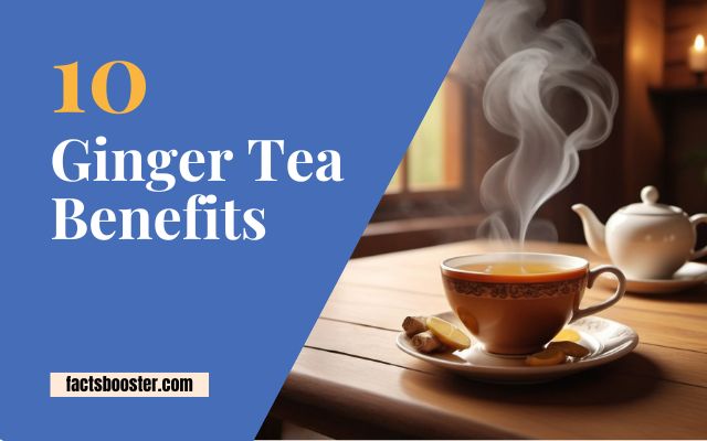 Ginger Tea Benefits